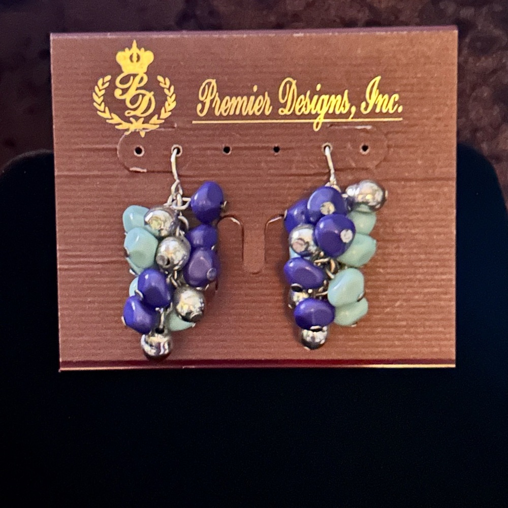 Fishhook Beaded Earrings